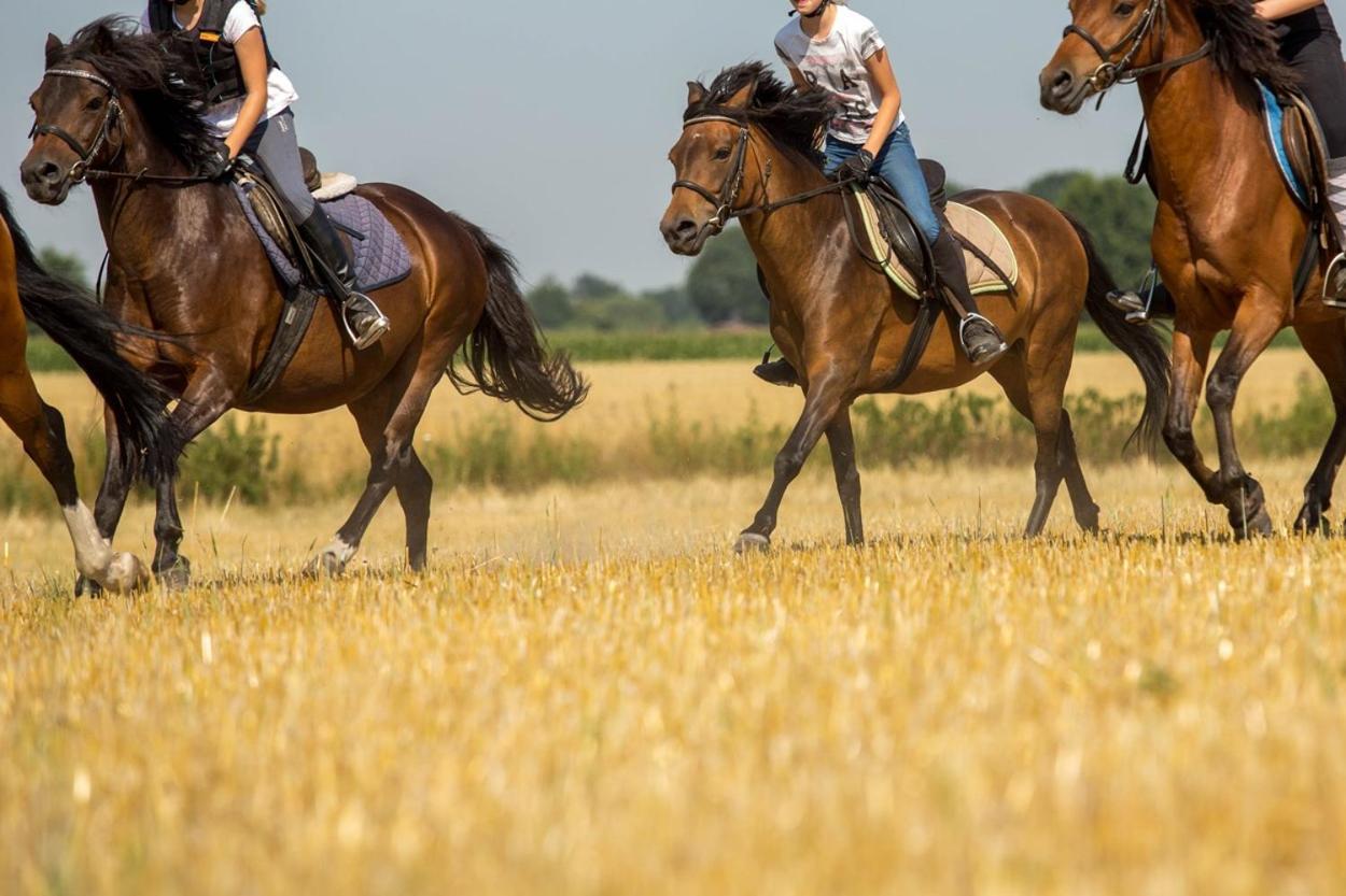 Ferienwohnungen Georgenbruch Everswinkel Exterior foto