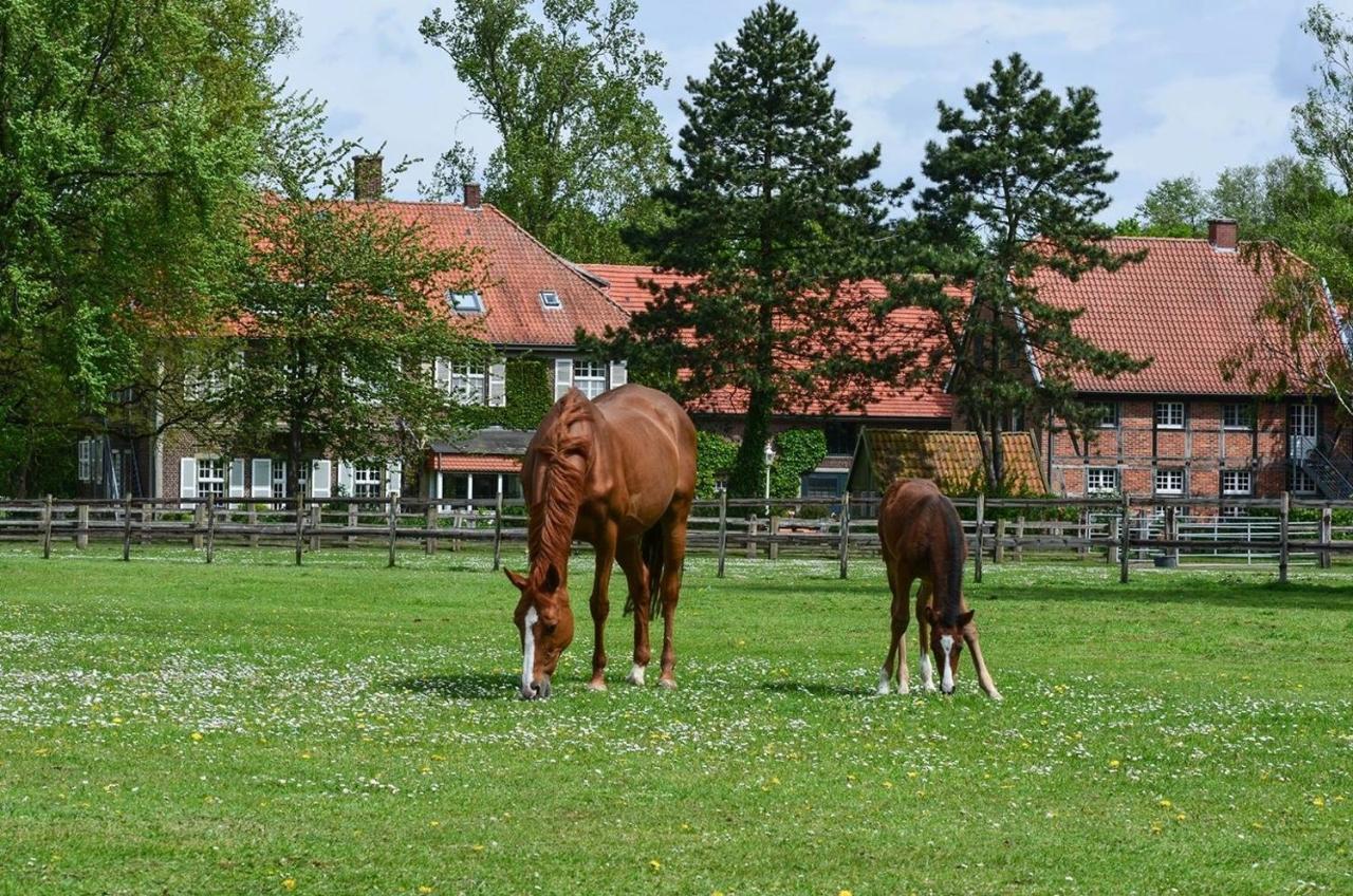 Ferienwohnungen Georgenbruch Everswinkel Exterior foto